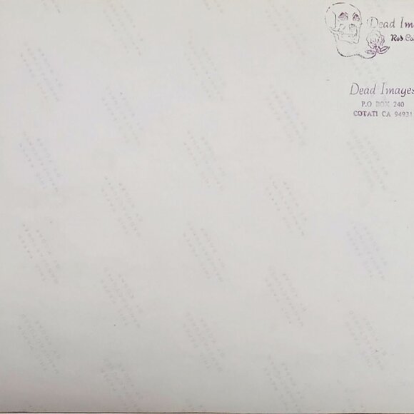 Bill Kreutzman Grateful Dead Photo by Rob Cohn 5/17/89 Frost Palo Alto CA 10 x 8 - Picture 6 of 8